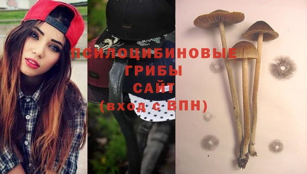 тгк Алексин