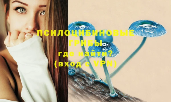 эйфоретик Абаза
