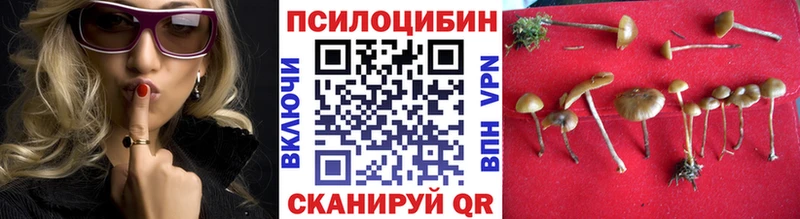 Псилоцибиновые грибы GOLDEN TEACHER  даркнет сайт  Чердынь 